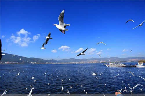 昆明,滇池,水质