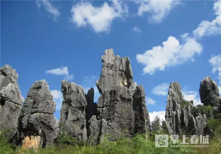 鲜花之城塔城桥城等 昆明居然有这么多实至名归的美名