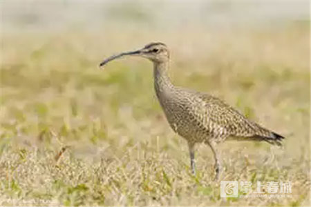 鲜花之城塔城桥城等 昆明居然有这么多实至名归的美名