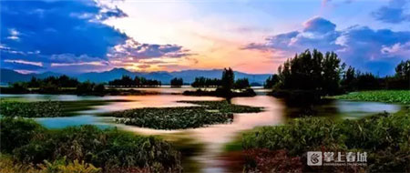 鲜花之城塔城桥城等 昆明居然有这么多实至名归的美名