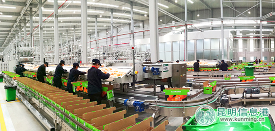 农夫山泉信丰工厂首度对外公开 农夫山泉信丰工厂首度对外公开