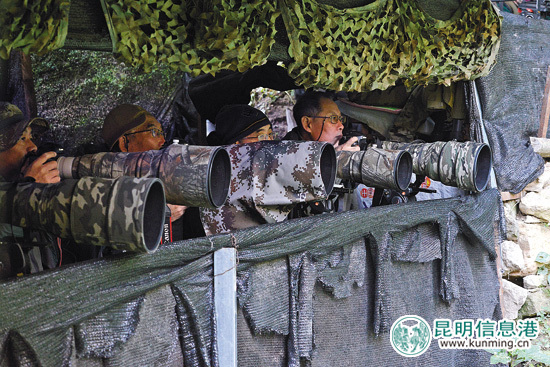 首届高黎贡山国际观鸟节保山开幕 200余摄影爱好者前往拍摄