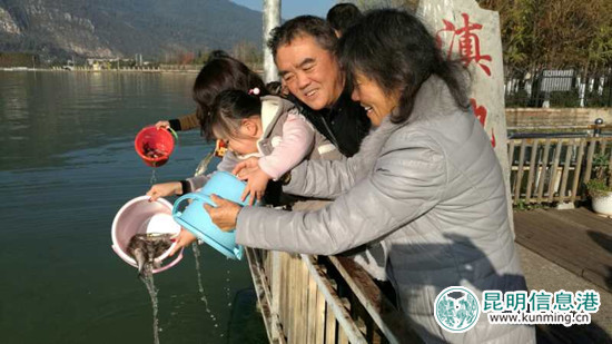 “昆明之美”元旦举行放鱼节 510公斤白鲢鱼苗入滇池 “昆明之美”元旦举行放鱼节 510公斤白鲢鱼苗入滇池