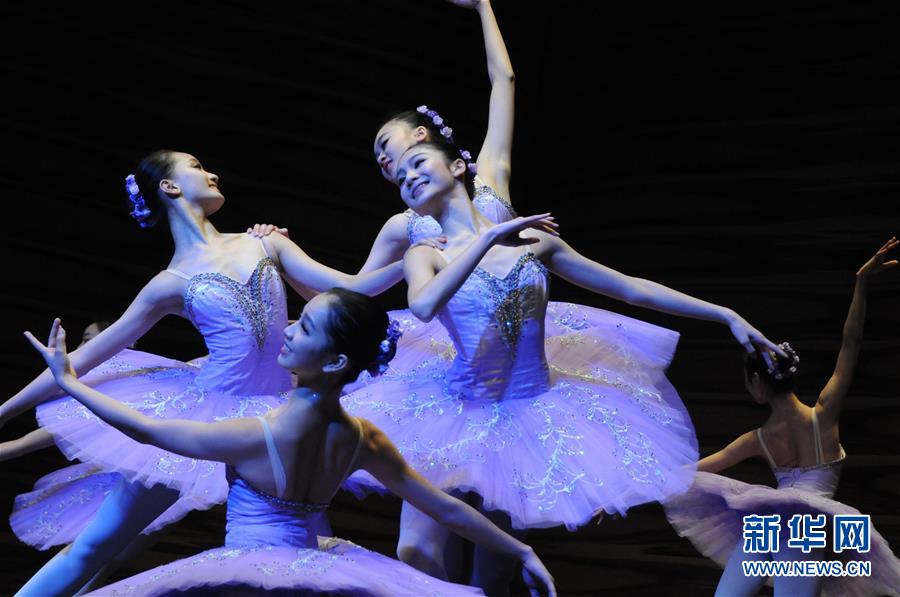 维也纳举行中国新年音乐会 维也纳举行中国新年音乐会