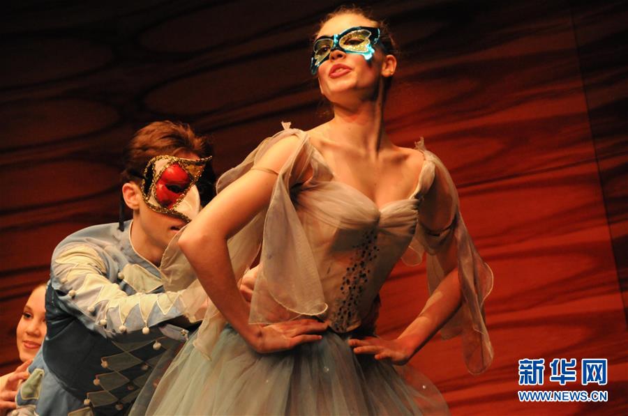 维也纳举行中国新年音乐会 维也纳举行中国新年音乐会