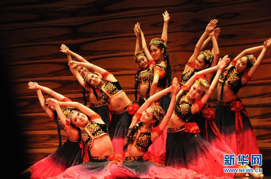 维也纳举行中国新年音乐会 维也纳举行中国新年音乐会