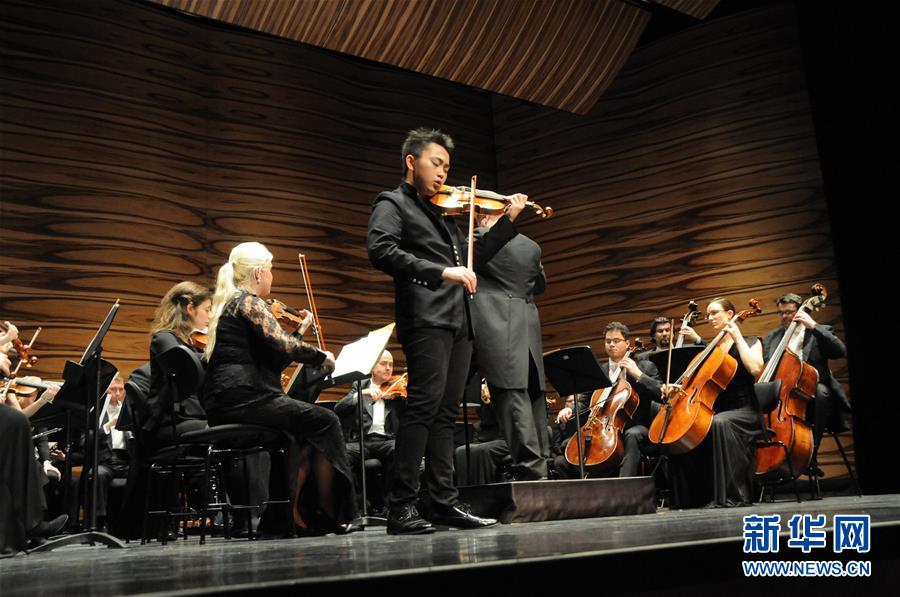 维也纳举行中国新年音乐会 维也纳举行中国新年音乐会