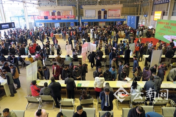 工作,招聘,云南 工作,招聘,云南