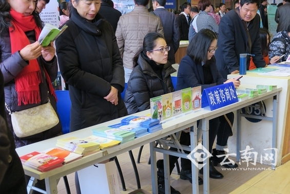 工作,招聘,云南 工作,招聘,云南