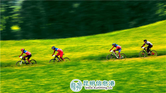 3月到罗平 看花海赛道上的马拉松和自行车赛