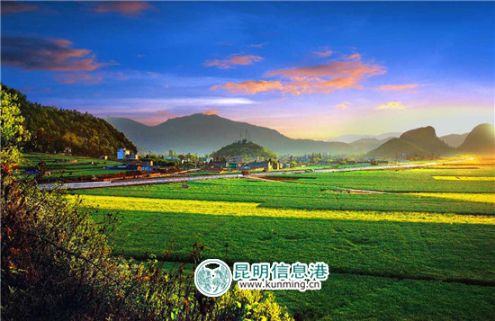 3月到罗平 看花海赛道上的马拉松和自行车赛