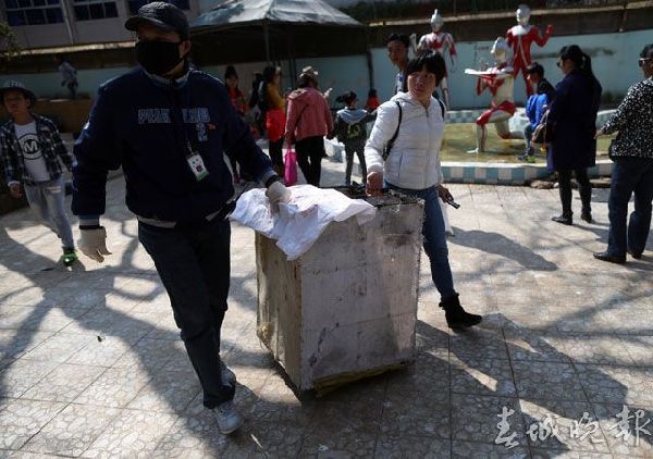 鹤,动物园,打架