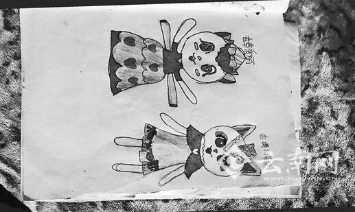 11岁女孩春节突然昏迷再未醒来 成昭通捐献器官第一人