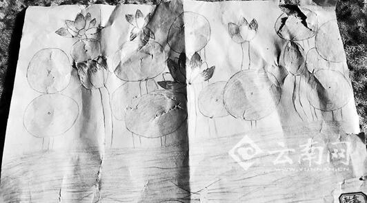 11岁女孩春节突然昏迷再未醒来 成昭通捐献器官第一人