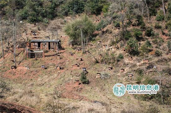 老君山脚有个村子，玉龙纳西族自治县九河白族乡中合村。