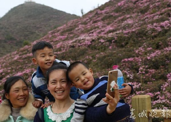 马鹿塘,杜鹃花,门票
