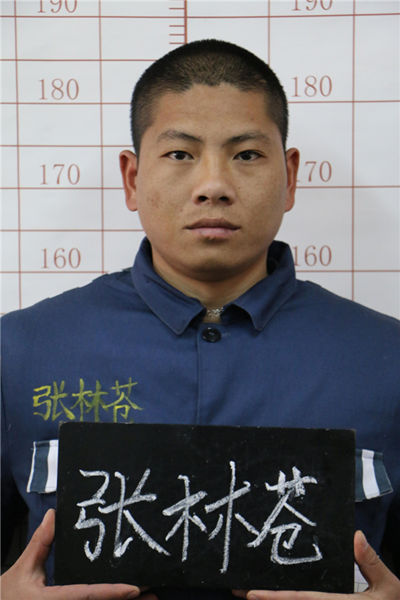 犯罪嫌疑人张林苍