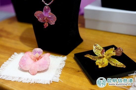 第十八届中国昆明国际花卉展今日开幕