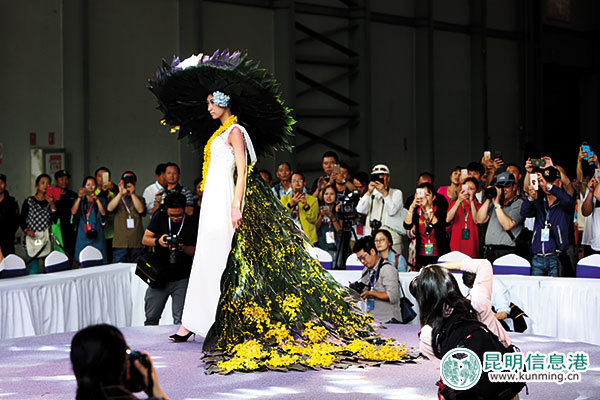 昆明国际花卉展昨开幕 3万枝花打造家居花艺