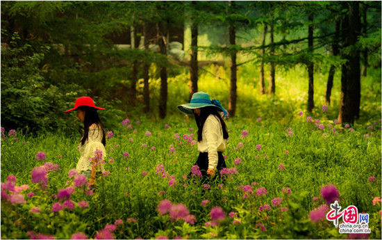 雾灵山 家庭亲子旅游不可多得的避暑胜地