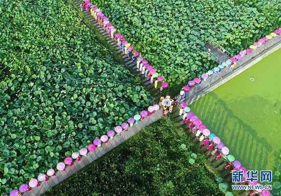 旗袍爱好者在四川省绵竹市九龙镇新龙村荷塘参加旗袍走秀