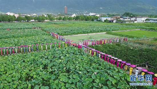 旗袍爱好者在四川省绵竹市九龙镇新龙村荷塘参加旗袍走秀