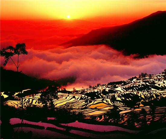 哈尼梯田最佳拍摄地推荐