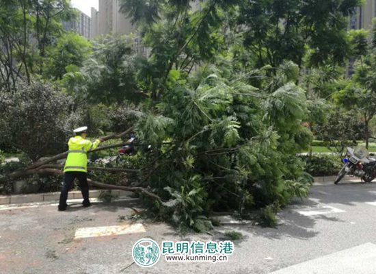 昆明暴雨救援侧记：我愿做积水中的安全“浮标”