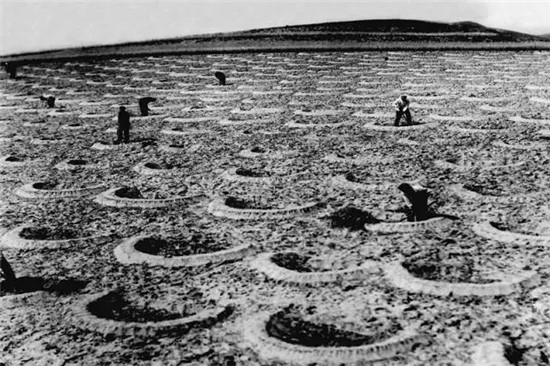 这座塞上小城 为什么得到总书记点赞 这座塞上小城 为什么得到总书记点赞