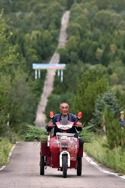 这座塞上小城 为什么得到总书记点赞 这座塞上小城 为什么得到总书记点赞