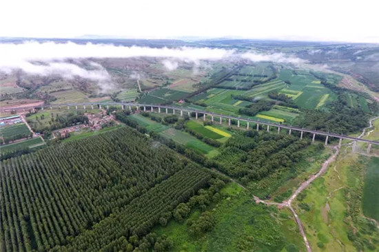 这座塞上小城 为什么得到总书记点赞 这座塞上小城 为什么得到总书记点赞