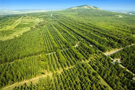 这座塞上小城 为什么得到总书记点赞 这座塞上小城 为什么得到总书记点赞