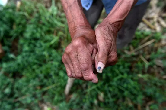 这座塞上小城 为什么得到总书记点赞 这座塞上小城 为什么得到总书记点赞