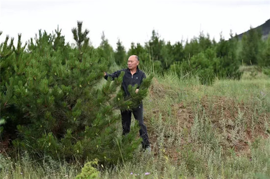 这座塞上小城 为什么得到总书记点赞 这座塞上小城 为什么得到总书记点赞