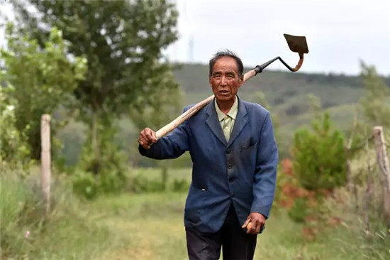 这座塞上小城 为什么得到总书记点赞 这座塞上小城 为什么得到总书记点赞