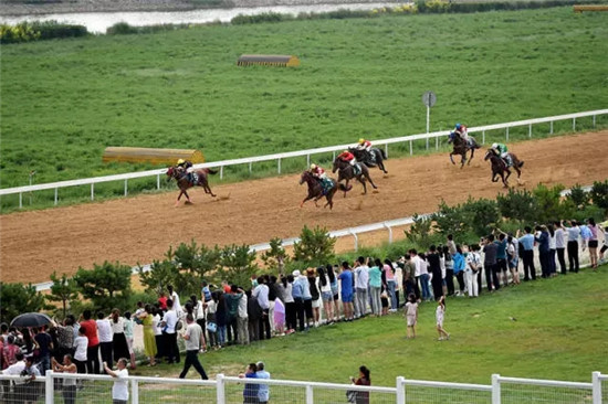 这座塞上小城 为什么得到总书记点赞 这座塞上小城 为什么得到总书记点赞