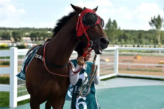 这座塞上小城 为什么得到总书记点赞 这座塞上小城 为什么得到总书记点赞