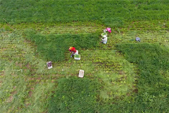 这座塞上小城 为什么得到总书记点赞 这座塞上小城 为什么得到总书记点赞