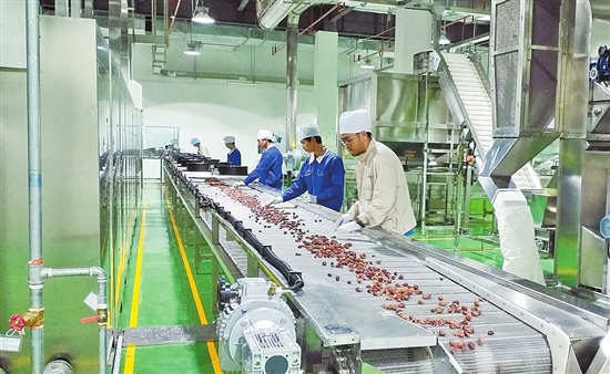 云南能投集团五年发展资产过千亿 位列中国企业500强第250位