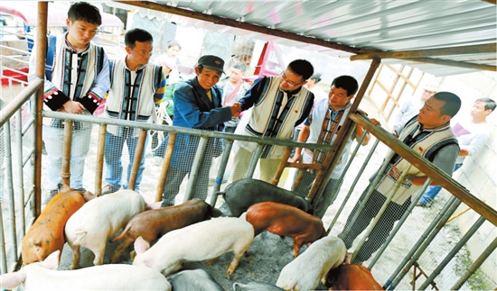 云南能投集团五年发展资产过千亿 位列中国企业500强第250位