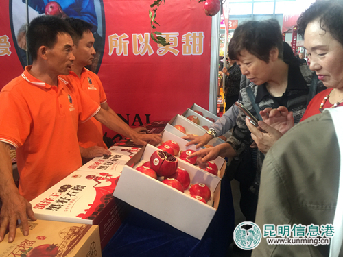 首届中秋食博会暨月饼文化节20日在昆启幕