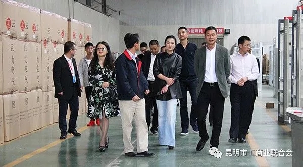 昆明市工商联组织政协委员到云南巨力集团参观座谈 昆明市工商联组织政协委员到云南巨力集团参观座谈