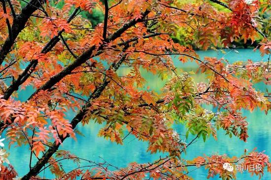 九寨沟震后首个秋:还是记忆中的童话世界