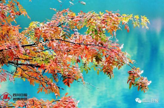 实拍九寨沟震后首个秋:还是记忆中的童话世界