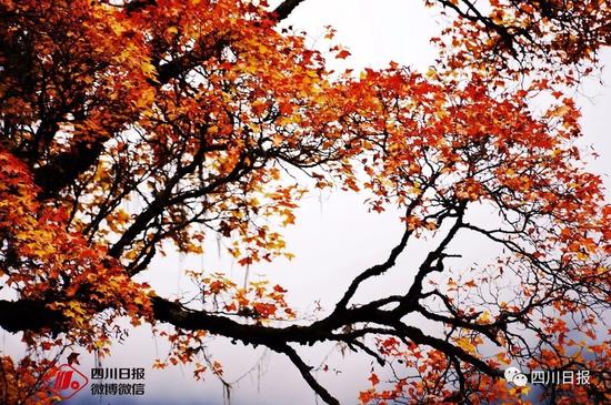 九寨沟震后首个秋:还是记忆中的童话世界