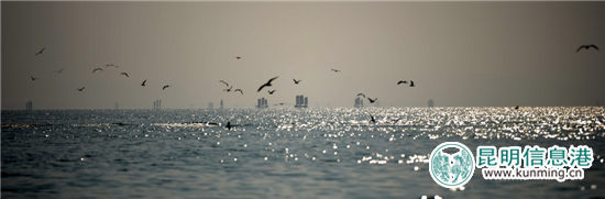 “最美开湖季粉丝团”泛舟滇池 摄影发烧友感受开湖盛景