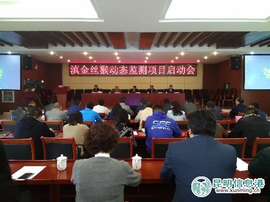 滇金丝猴动态监测项目启动会现场