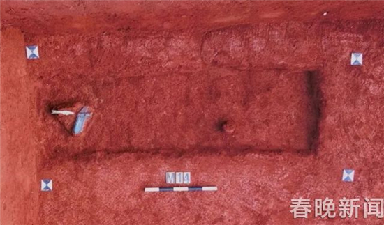 文山小龙墓地出土252件青铜时代器物 文山小龙墓地出土252件青铜时代器物