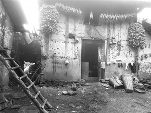 小晴的家 小晴的家