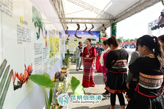 “探秘雨林野生食用植物”科普展亮相第三届云南名特小吃节 “探秘雨林野生食用植物”科普展亮相第三届云南名特小吃节